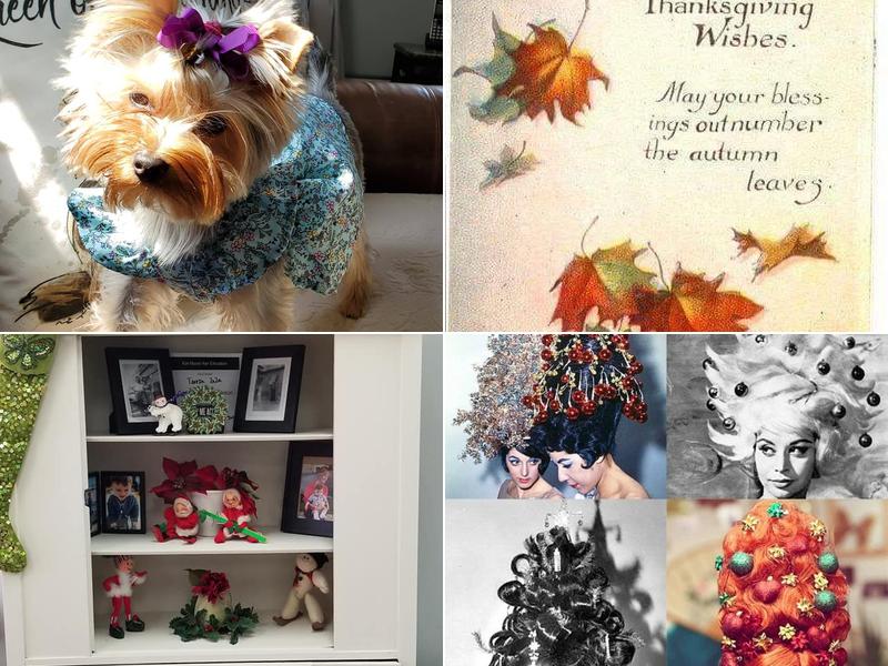 A Zaza Hair Design Studio