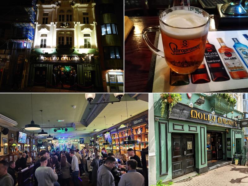 Molly Malones - Indigo Pub Company