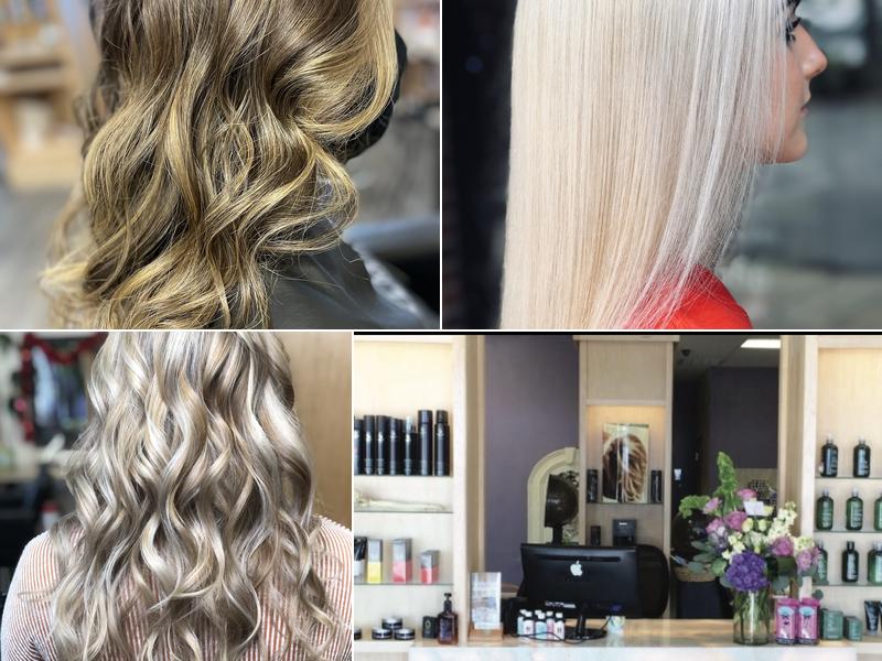 The Lyons Mane Salon