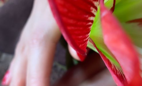 Natural Nails by Mimi 161 wailea Ike pl, Center c102, Wailea-Makena Hawaii 96753