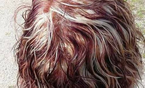 Envy Beauty Salon Marion