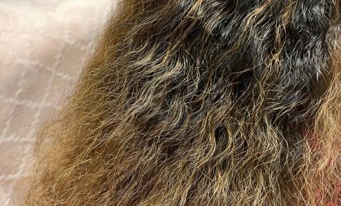 Hair by Kayla Winter Haven