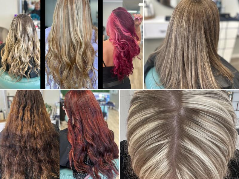 Southern Roots of NSB