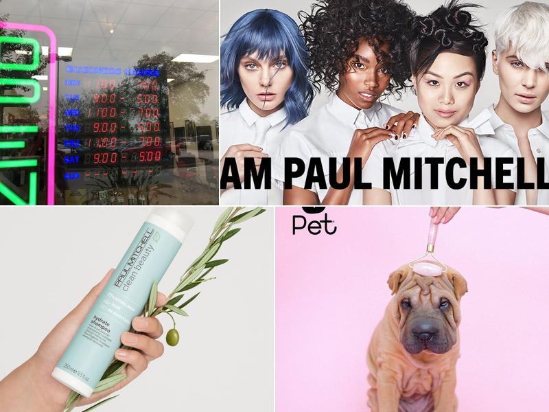 the salon 1.0 Paul Mitchell Focus Salon