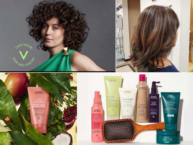 Dillard's Salon & Spa at Chapel Hills Mall