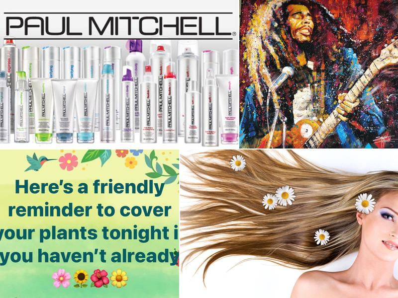 Stephen Godfrey Salon