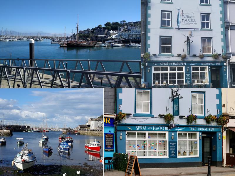 The Sprat & Mackerel