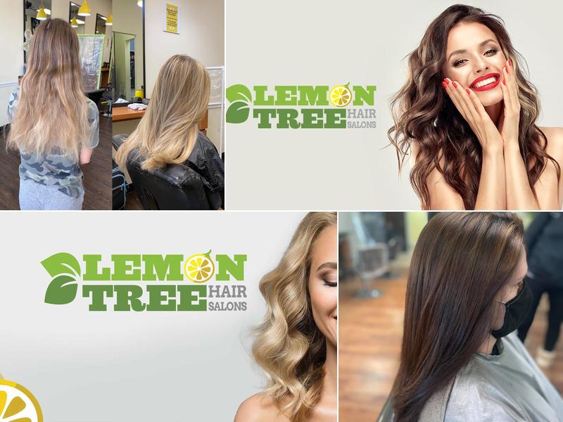 Lemon Tree Hair Salon Shirley