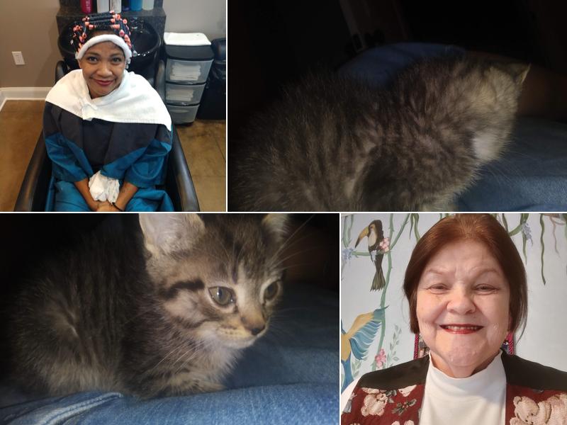 B.J.’s Hairstyling