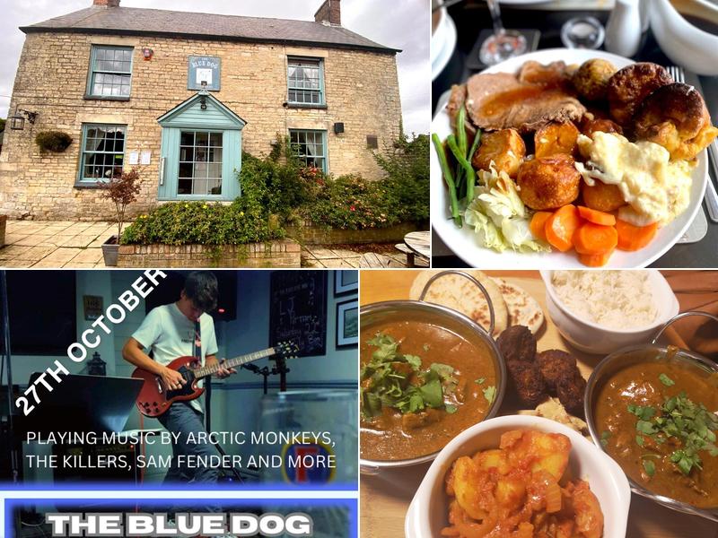 Blue Dog Inn