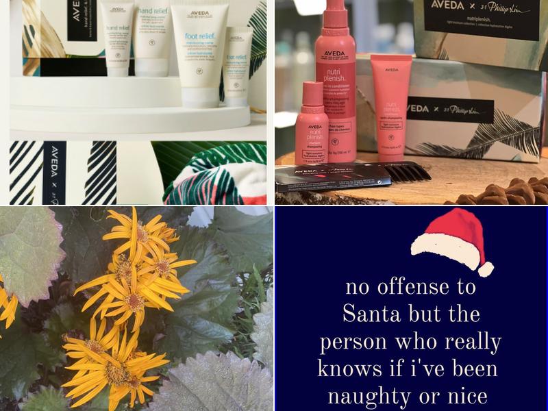 Ficocello's Salon & Day Spa