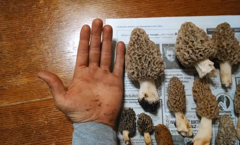 Looks Unlimited Manchester