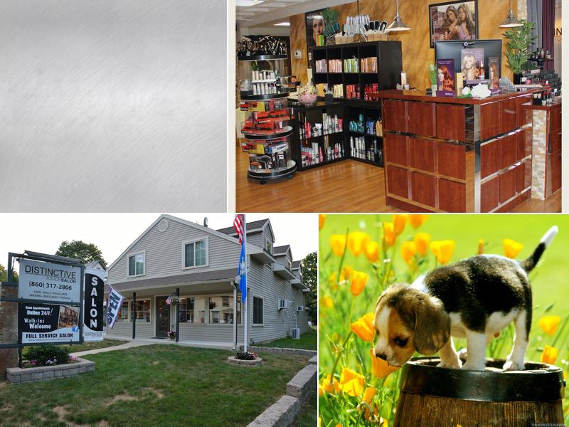 Distinctive Touch Salon