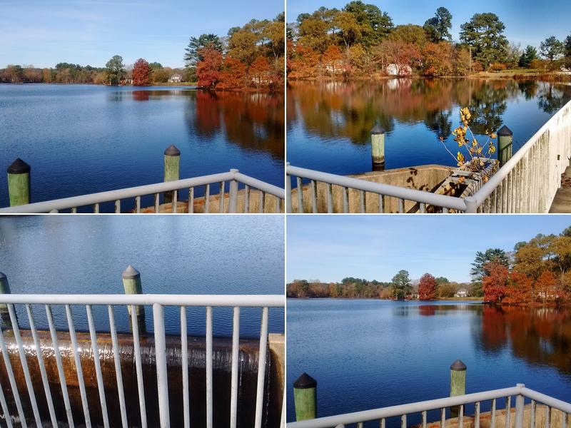 Inspirations by Elaine