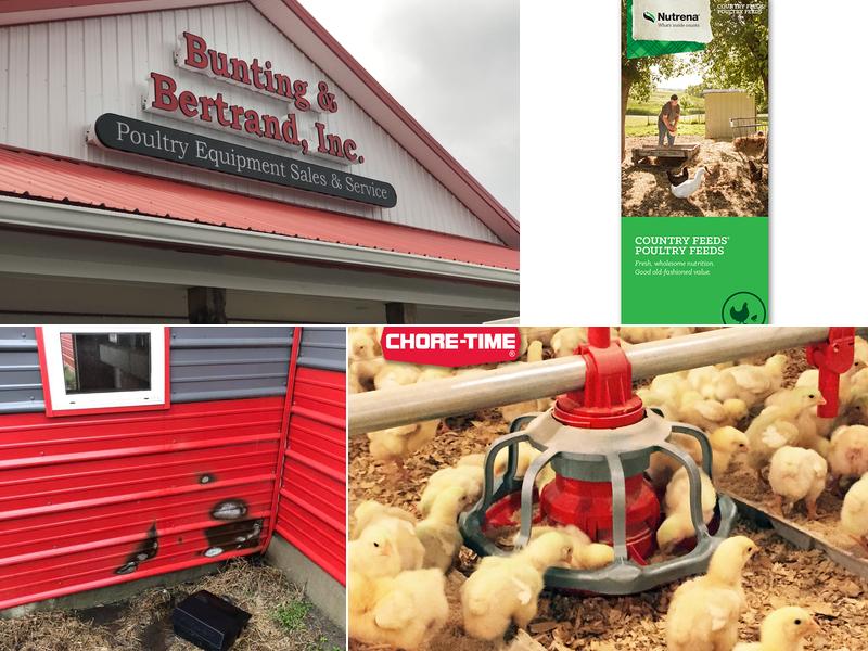 Bunting & Bertrand Inc