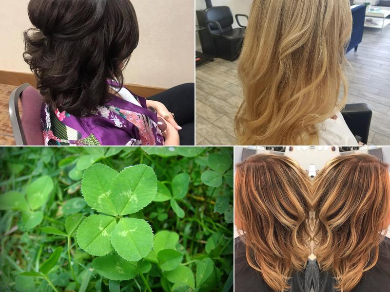 Salon Sabatini owner Brigitta Sabatini Smith