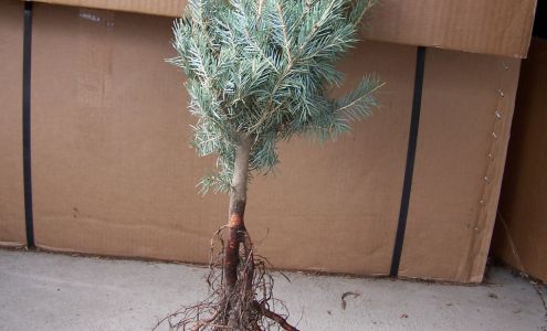 East-West Cassia SWCD