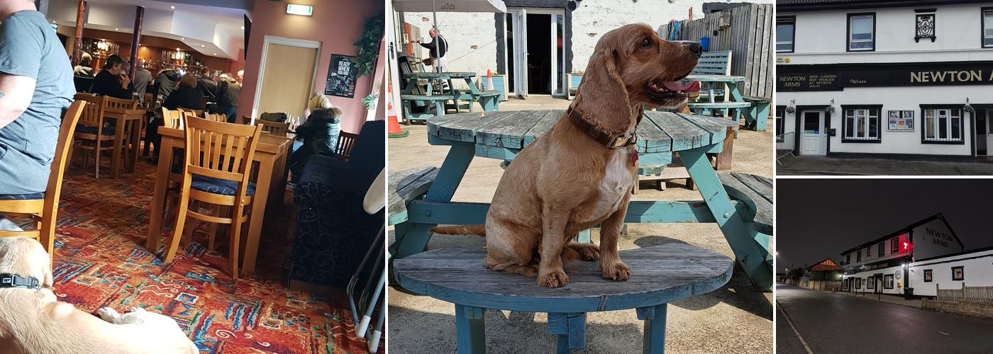 Newton Arms