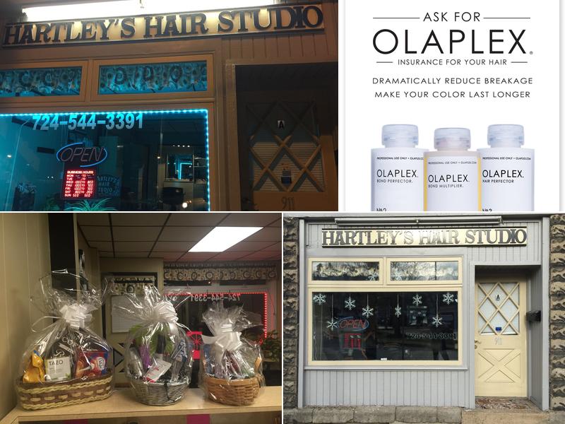 Hartley's Hair Studio