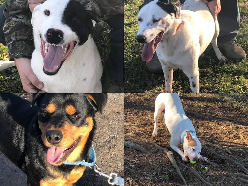 Studio 8 Hair & Nails Design