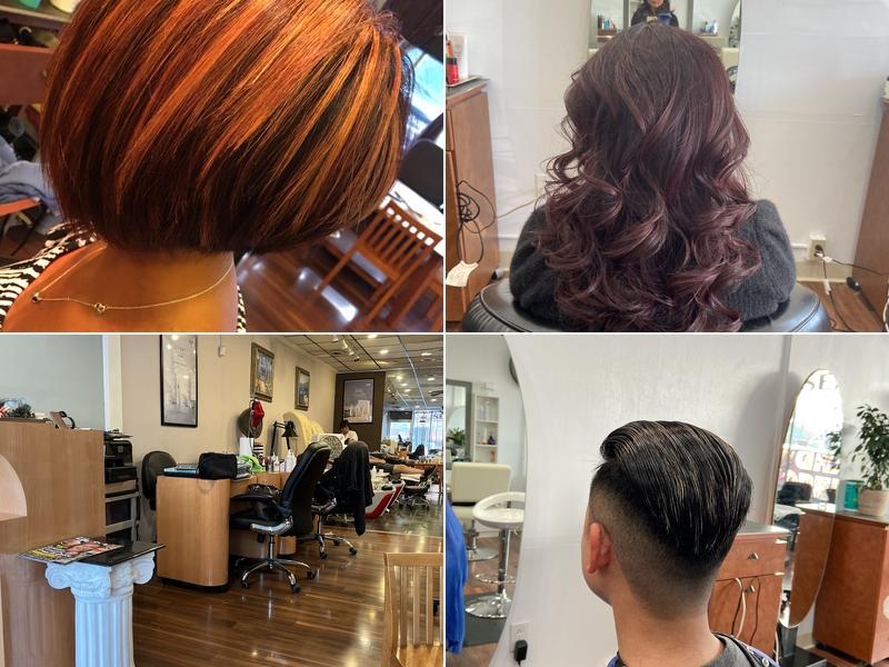 Alex's Hair Design Studio