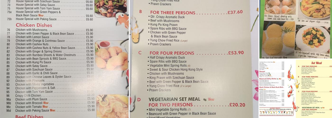 Magnificent Wok Menu