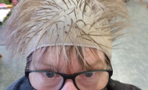 Tijssen Designs 859 Minard Ave NW, Ocean Shores Washington 98569