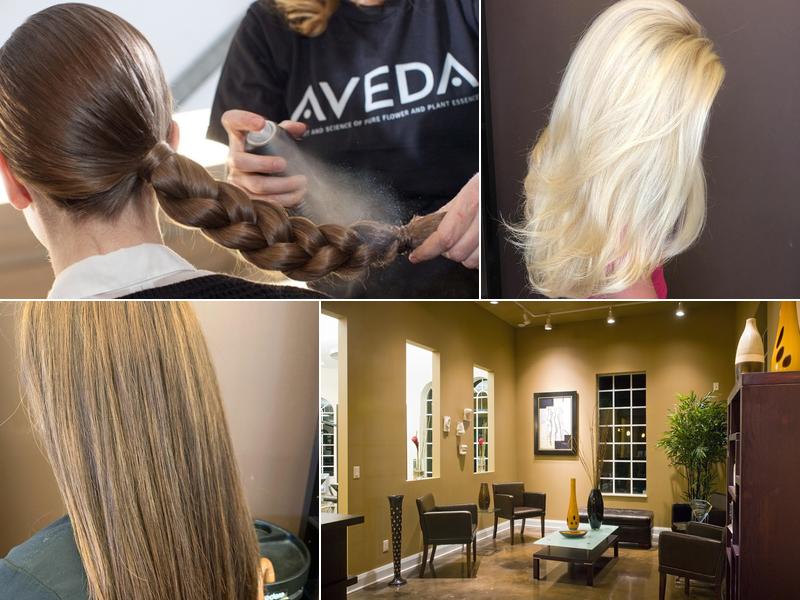 Michael Leonard's Salon