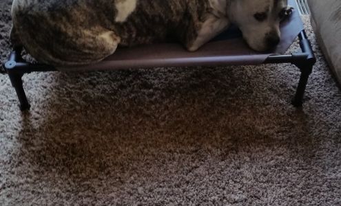 Karols Salon Fort Dodge