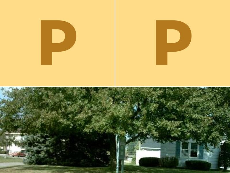 Professional Touch Full Service Salon