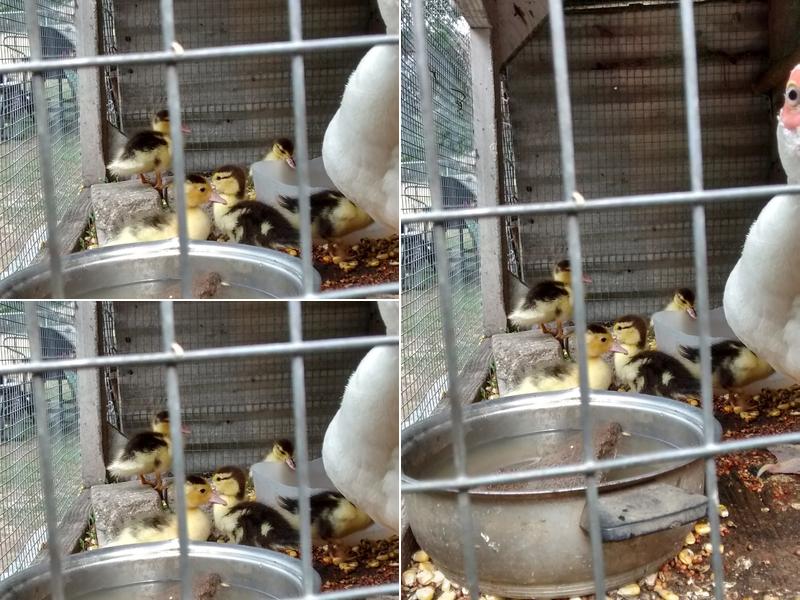 Hair Dimension Salon