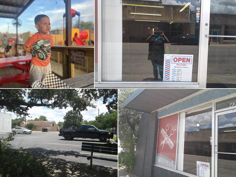 Rosemary's Main Trends