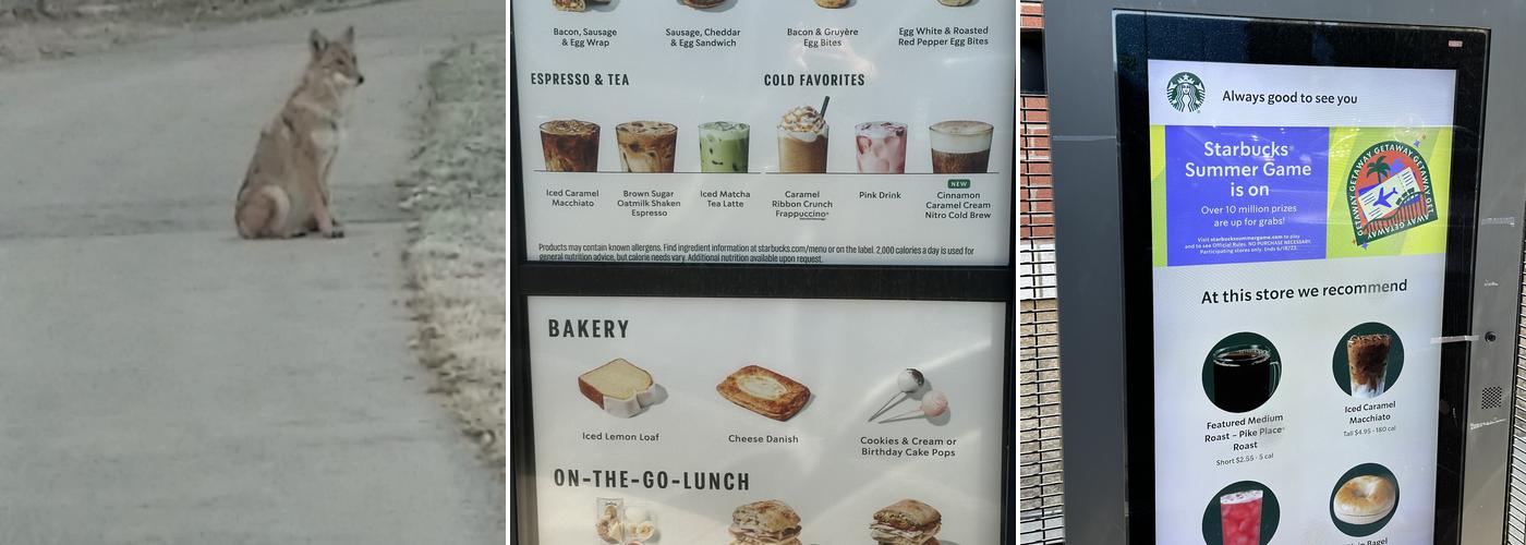 Starbucks Menu