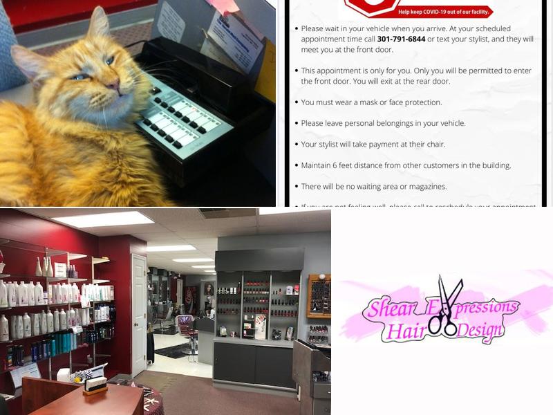 Shear Expressions Hair Design