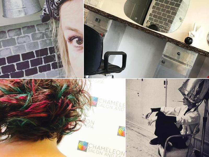 Chameleon Salon