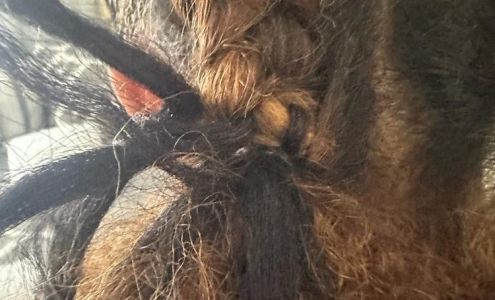 Heaven's Hair Design