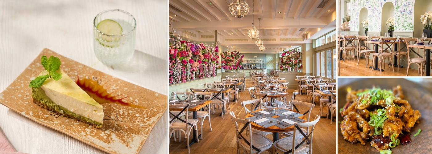 Giggling Squid - Chelmsford