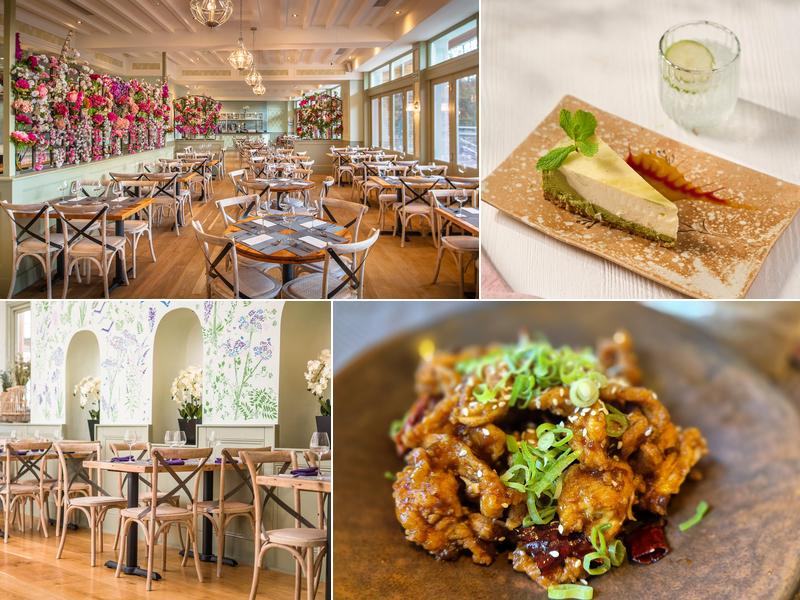 Giggling Squid - Chelmsford