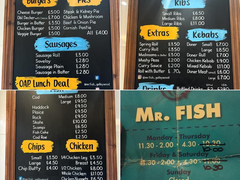 Mr Fish Menu