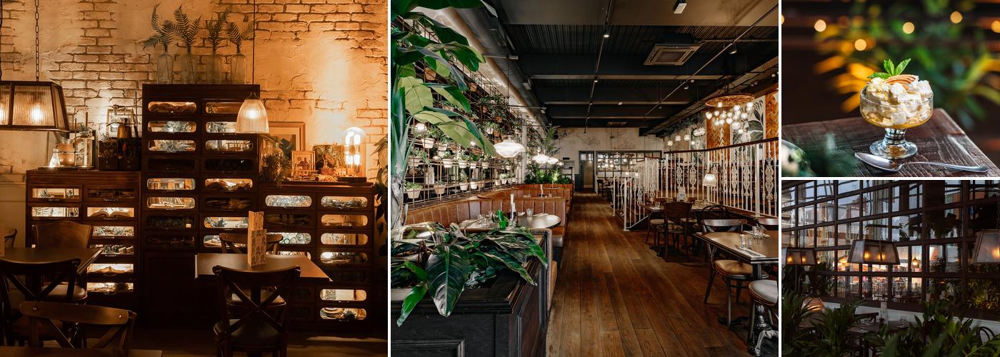 The Botanist Bar & Restaurant Cheltenham