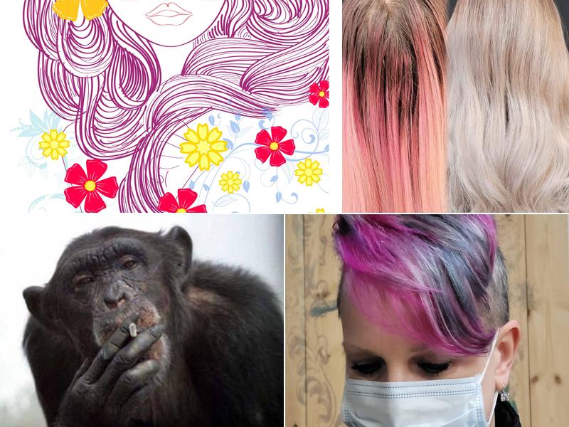 Design Group Hair Salon