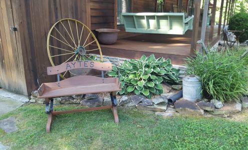 Lisa's Shear Magic Lancing