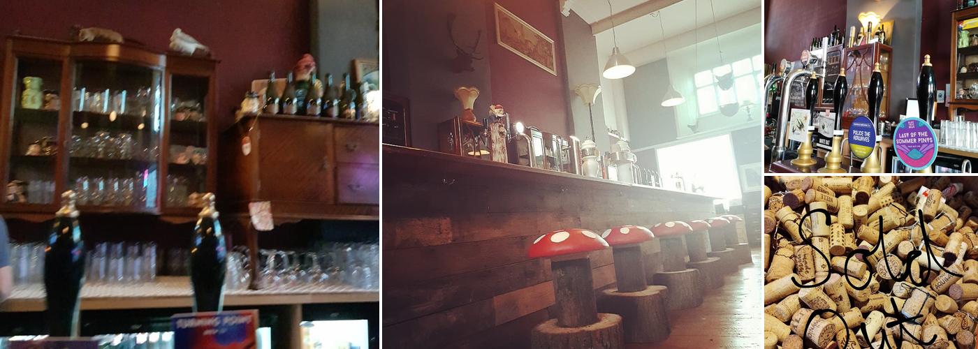 The Cavern of the Curious Gnome