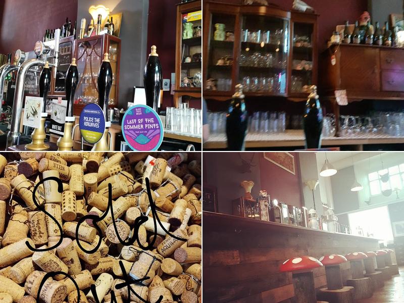 The Cavern of the Curious Gnome