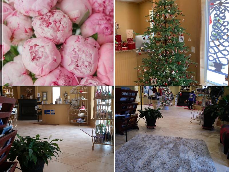 Stephanie's Salon and Day Spa