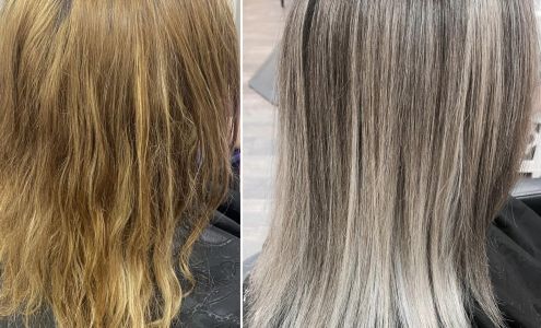 Bombshell Studio 2506 SC-72, Abbeville South Carolina 29620