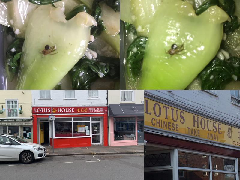 Lotus House
