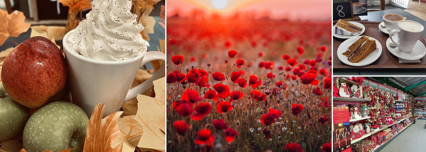 Chilton Garden Centre Restaurant