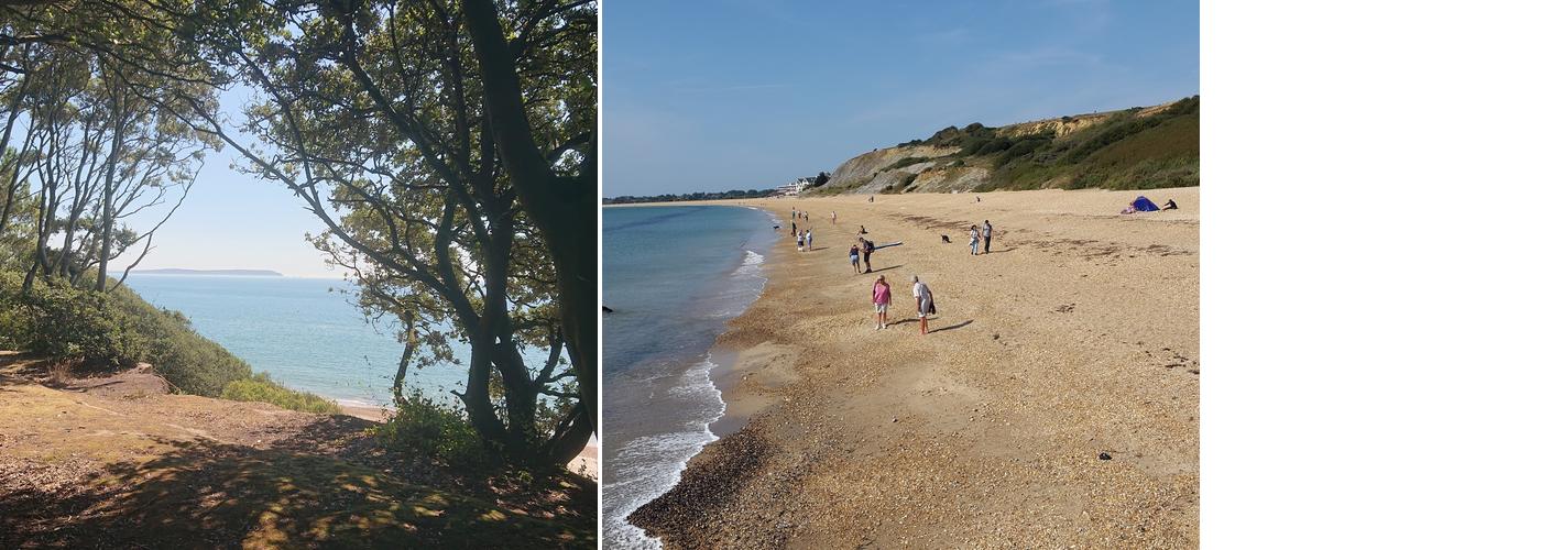 Steamer Point Picnic Place