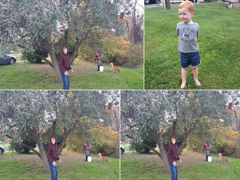 Cheryl Miller's Cut & Curl